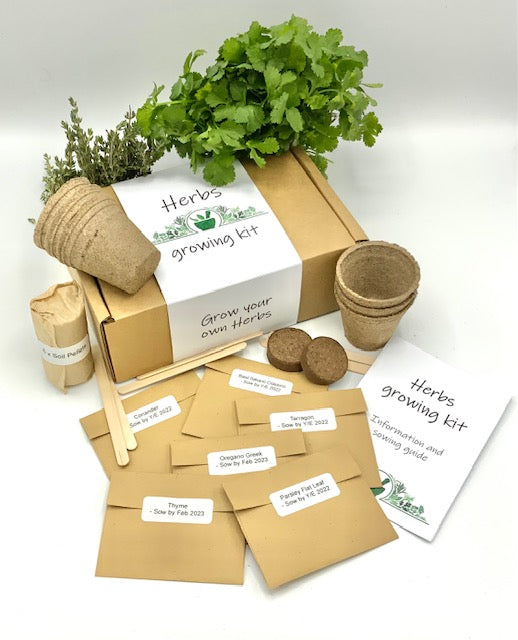 Grow Your Own Herbs Kit – DeMa Retail