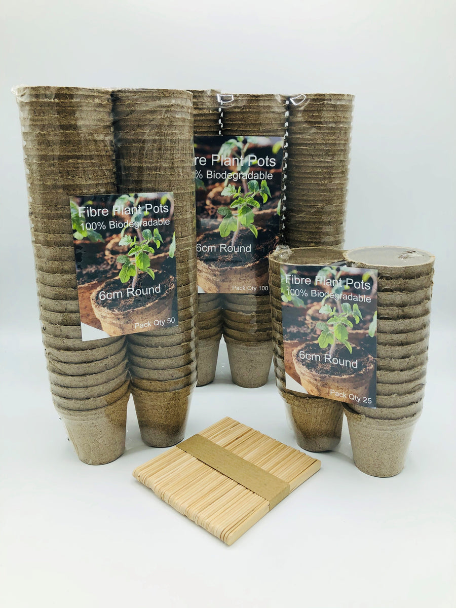 Biodegradable shop plant pots